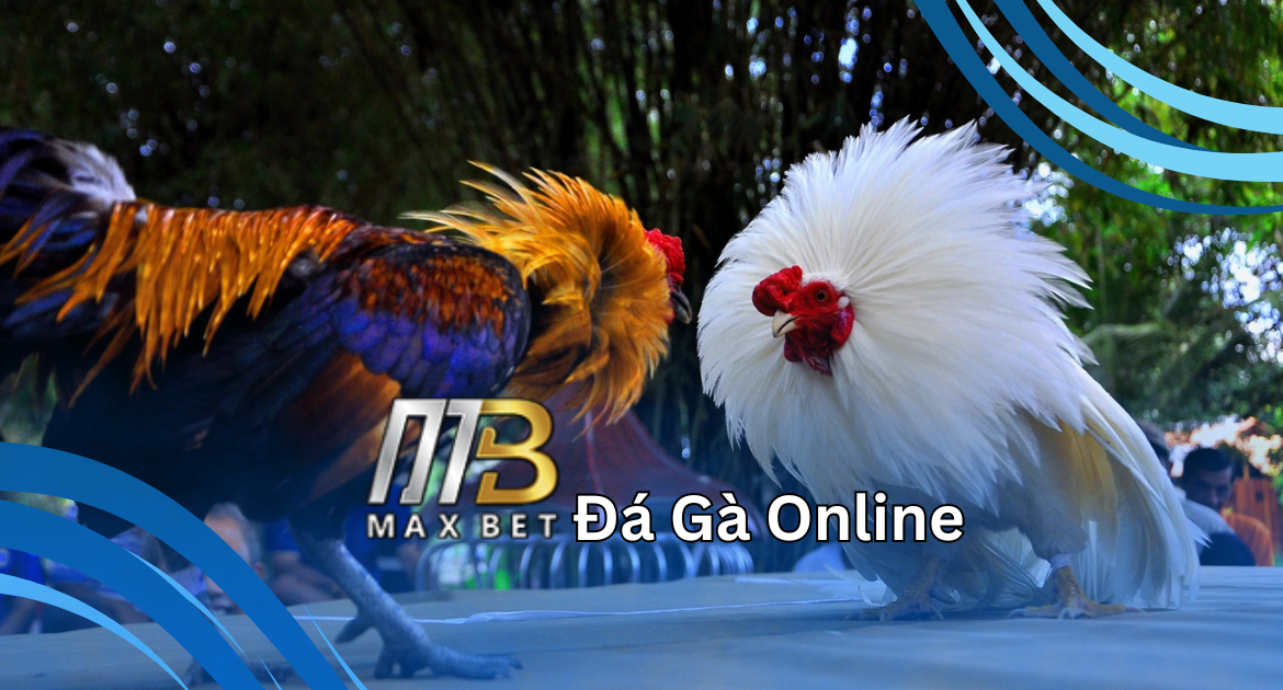 maxbet688-da-ga-online